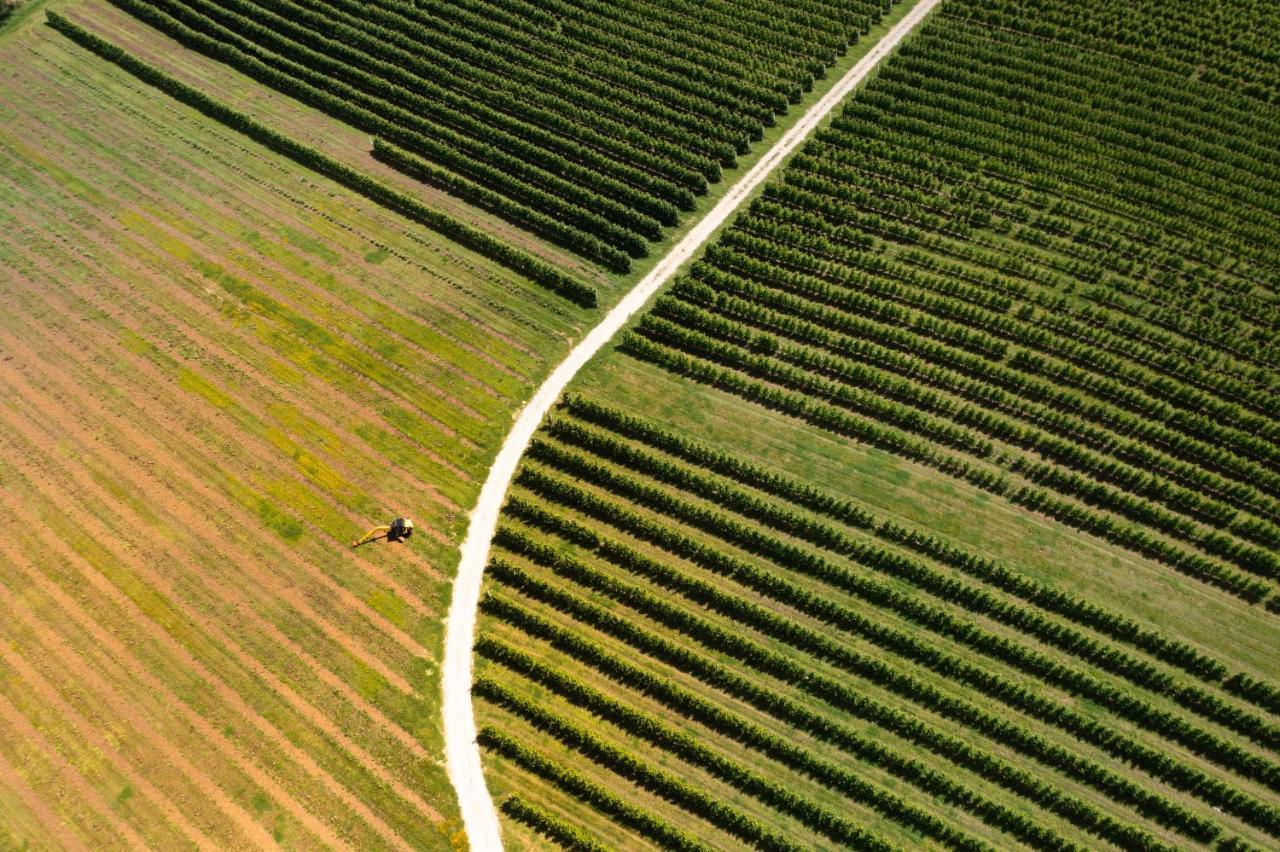 Agriturismo S.Angelo Villa Foiano Della Chiana Eksteriør bilde