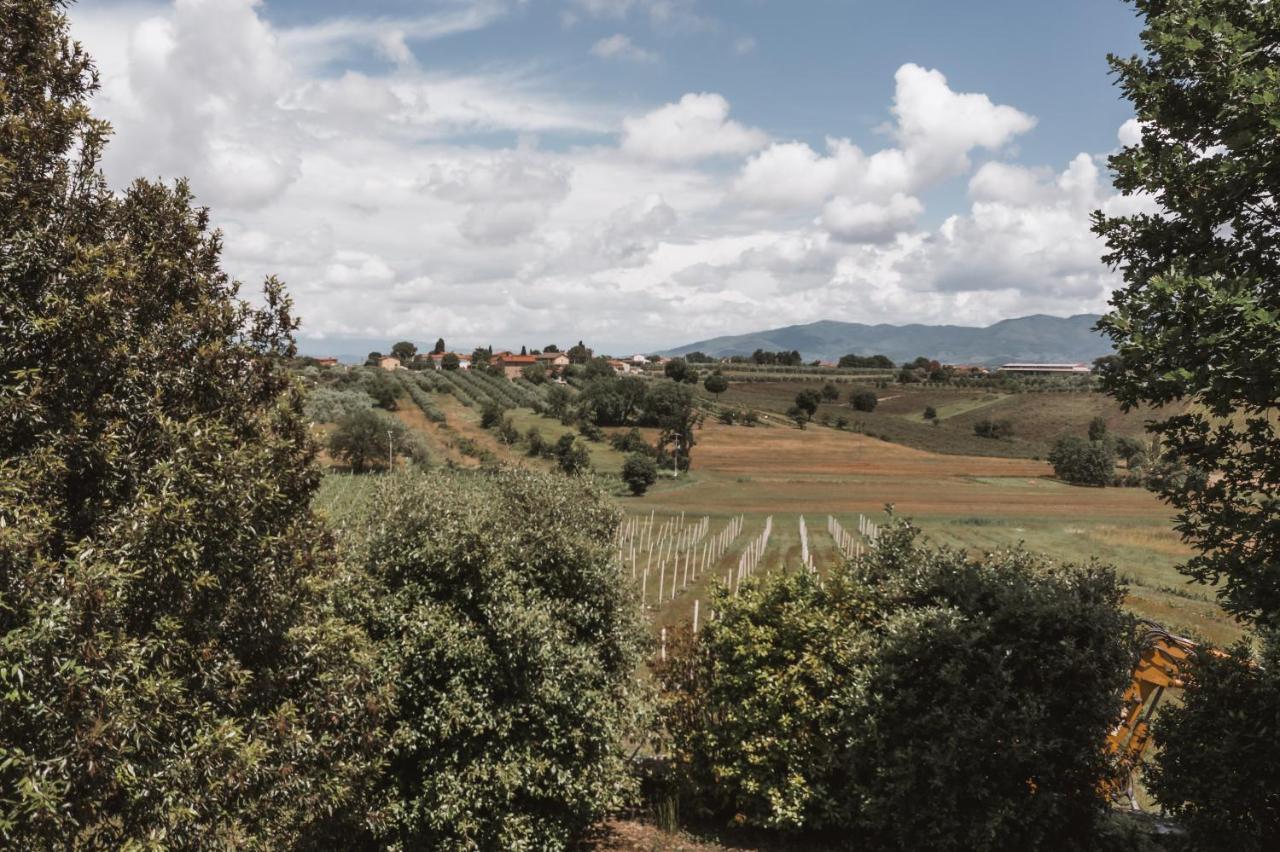 Agriturismo S.Angelo Villa Foiano Della Chiana Eksteriør bilde