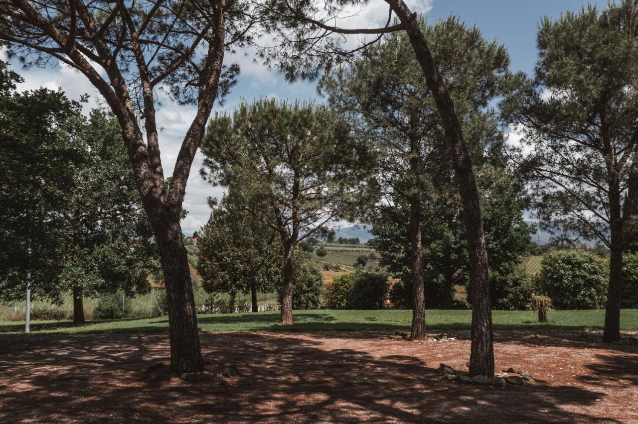 Agriturismo S.Angelo Villa Foiano Della Chiana Eksteriør bilde
